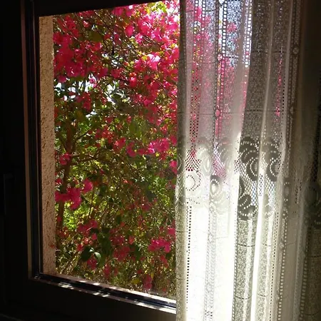 Ifigenia's Apartahotel Kardamyli