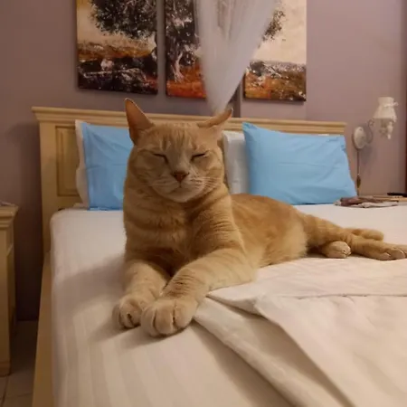 Aparthotel Ifigenia's 4*