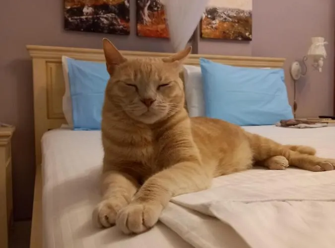 아파트호텔 Ifigenia's 4*